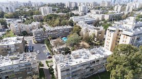 מעפילי אגוז תל אביב, צילום: עיריית תל אביב